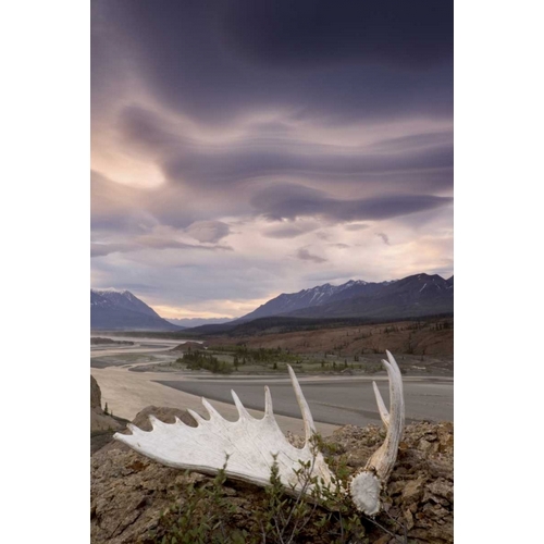 Canada, BC, Yukon, Moose antler and landscape